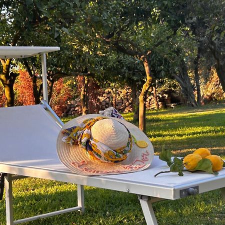 Lemon Factor Sorrento Bed & Breakfast ภายนอก รูปภาพ