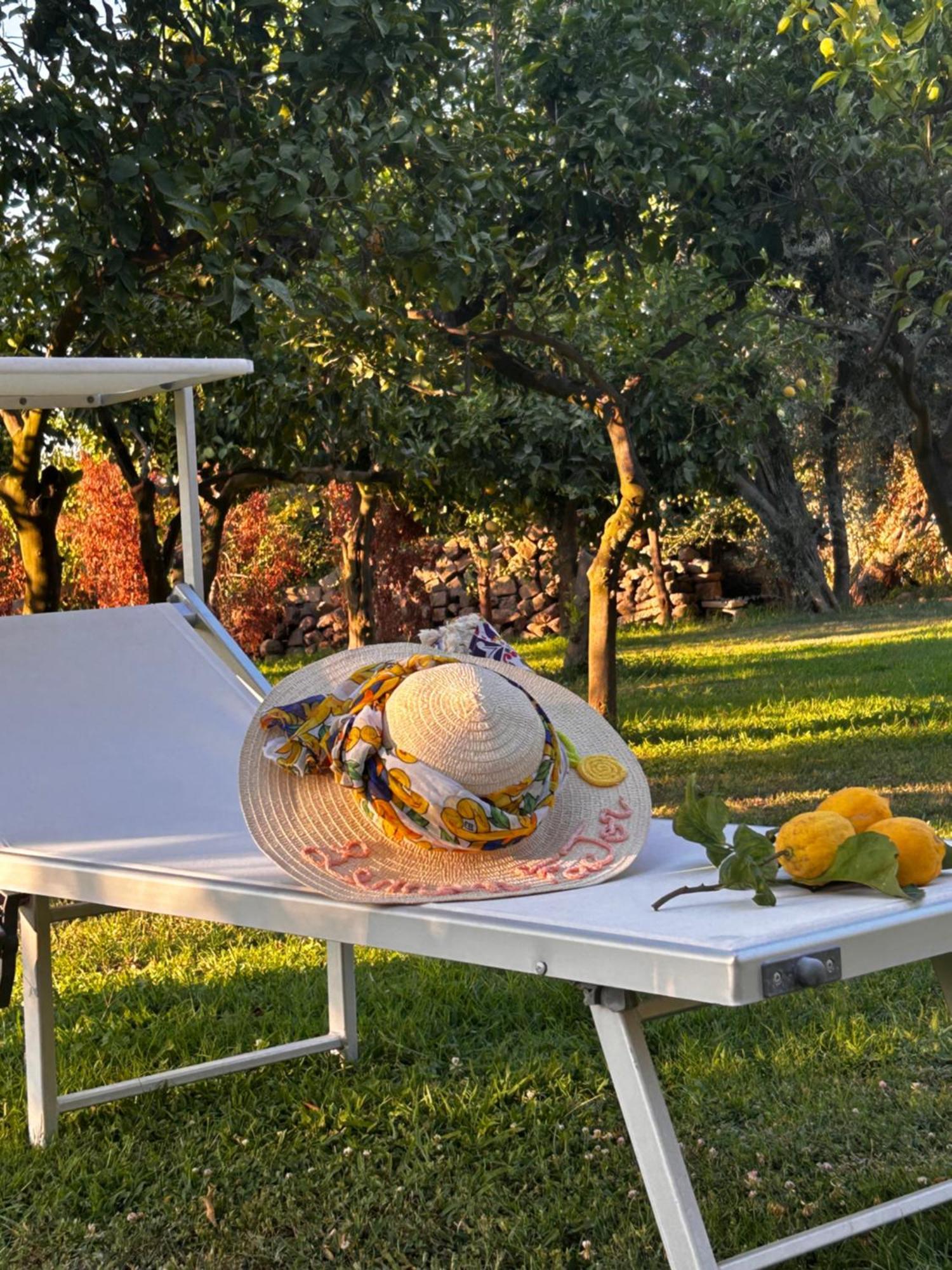 Lemon Factor Sorrento Bed & Breakfast ภายนอก รูปภาพ