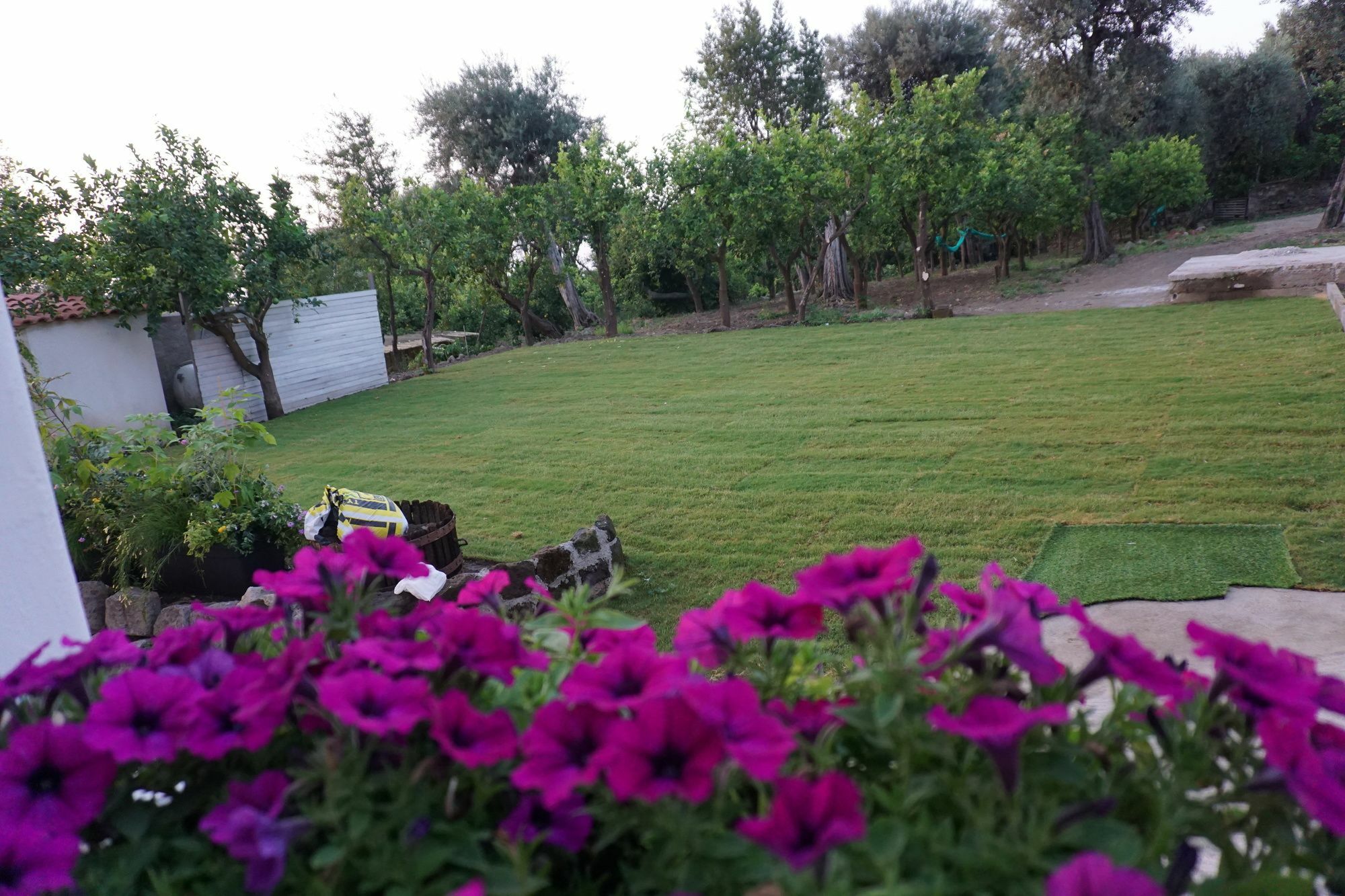 Lemon Factor Sorrento Bed & Breakfast ภายนอก รูปภาพ