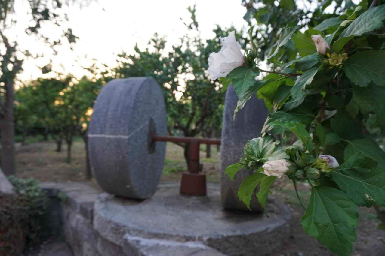 Lemon Factor Sorrento Bed & Breakfast ภายนอก รูปภาพ